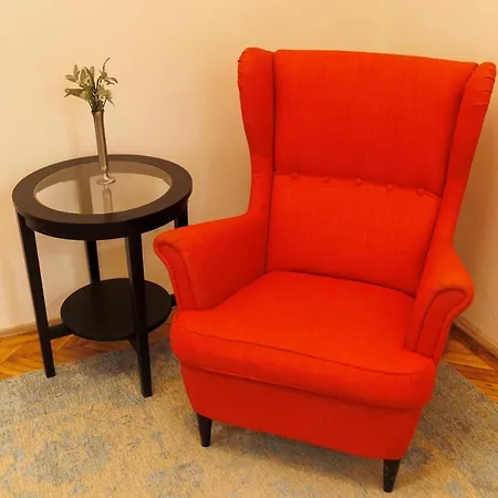 Spacious Flat In Old Town Wi-fi Timisoara
