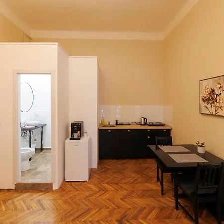 Apartment Spacious Flat In Old Town Wi-fi Timisoara
