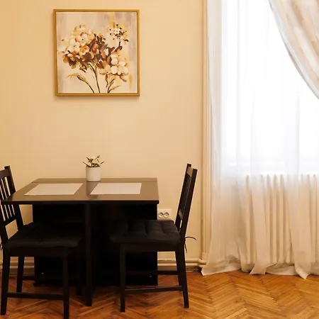 Spacious Flat In Old Town Wi-fi Timisoara