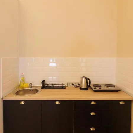 Apartment Spacious Flat In Old Town Wi-fi Timisoara
