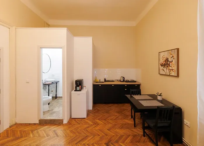 Apartment Spacious Flat In Old Town Wi-fi Timisoara