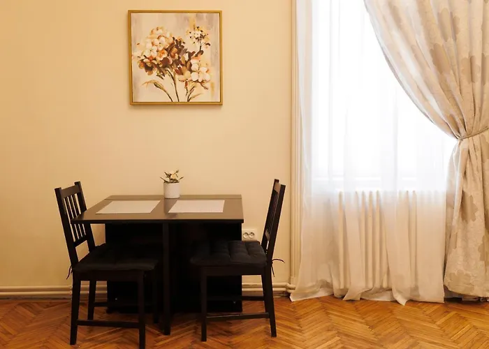 Spacious Flat In Old Town Wi-fi Timisoara