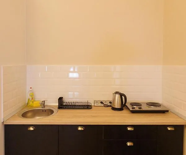 Apartament Spacious Flat In Old Town Wi-fi Timişoara