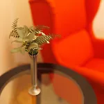Apartament Spacious Flat In Old Town Wi-fi